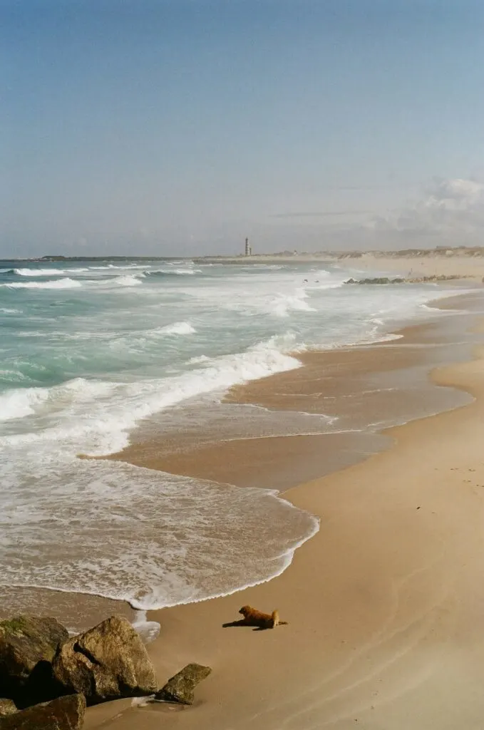 View of a white sand beach on a sunny day in Portugal. 
