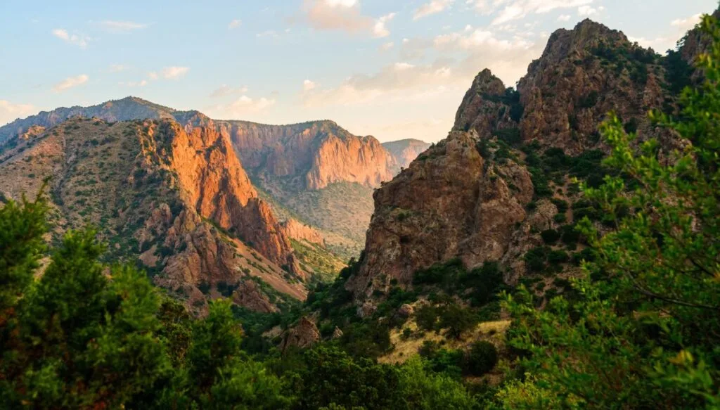 View of mountains glowing red in the light of the setting sun. You can also see lots of trees and valleys in Big Bend National Park. 