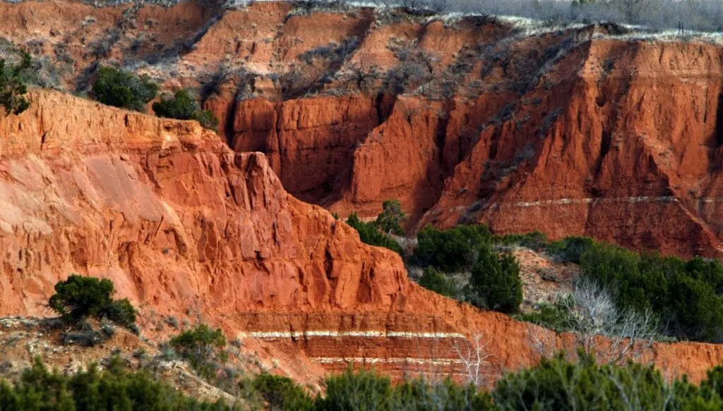 View of the layrered red rock canyons of red rock state park. You can see white lines in the walls of the canyons and green trees in the valleys. 