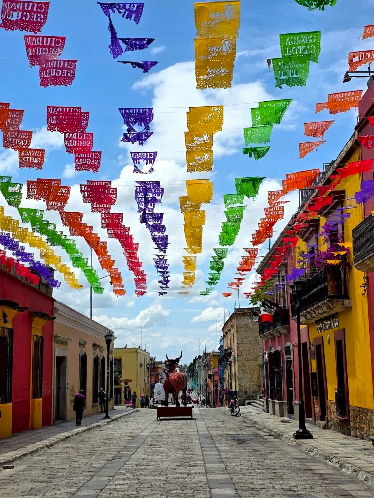 View of colorful flags hanging above Andador Macedonio Alcala with an animal statue off in the distance. 