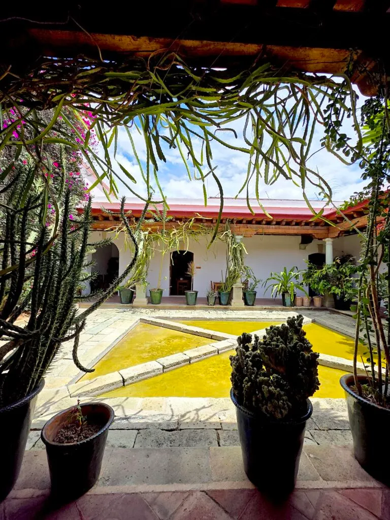 View of the courtyard inside the Centro Fotogr&aacute;fico &Aacute;lvarez. You can see potted plants and vines hanging down from the ceiling. You can also see a central fountain and white walls surrounding the courtyard. 