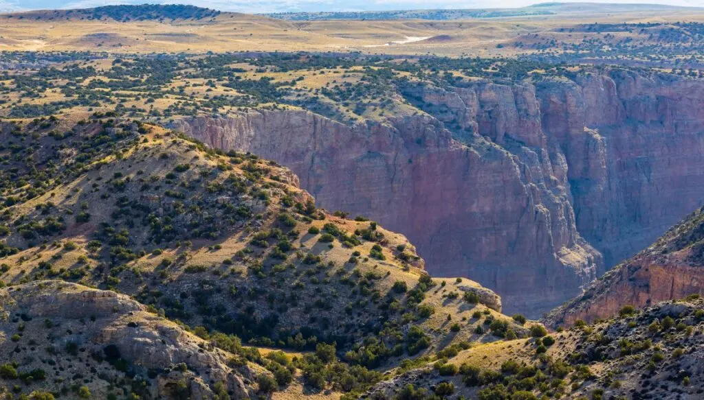 Aerial view of mountains covered in trees with a giant canyon inside of Bighorn Canyon National Recreation Area.  