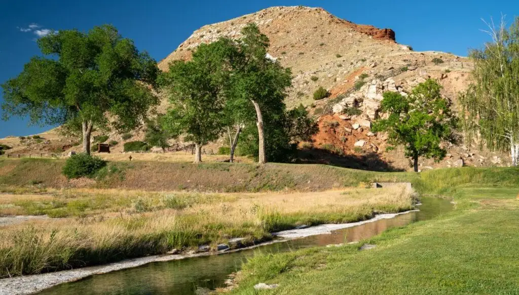 View of a hot spring running through Hot Springs State Park with a mound of dirt in the background and trees in front of the mountain. 