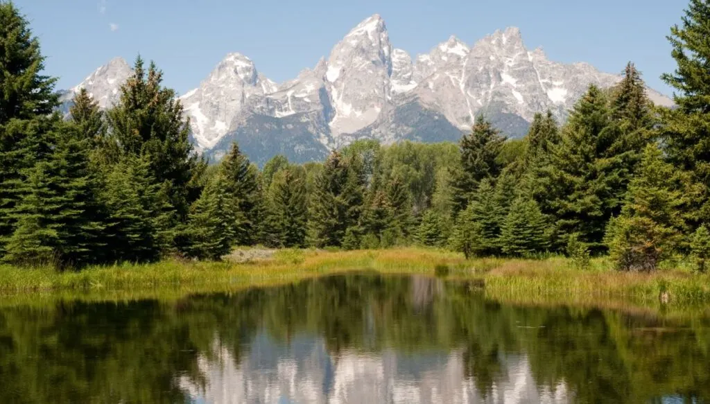 View of Schwabacher's Landing  in Jackson Hole. You can see snow covered mountains in the back and pine trees along the edge of a lake in the foreground. This is one of the most beautiful places in Wyoming. 
