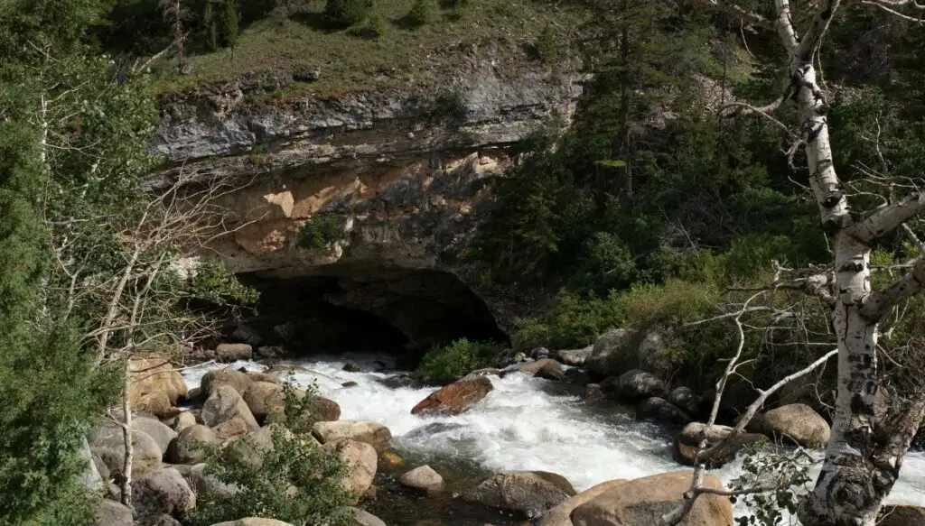 View of a river running through Sinks Canyon State Park. You can see trees all arounf the river and a rocky face above the river. 