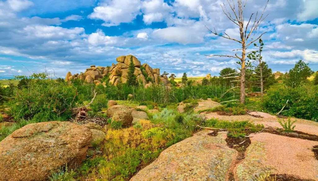 View of the unique rock formations and green trees that make up Vedauwoo Recreation Area.