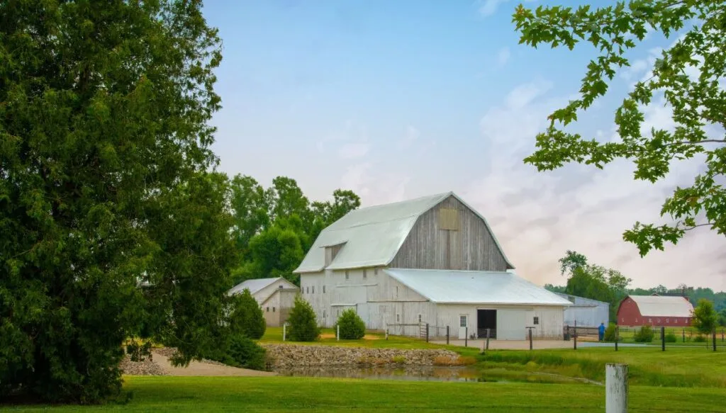 View of an old white barn surrounded by grassy areas and tall leafy trees in Amish Country in Indiana. 
