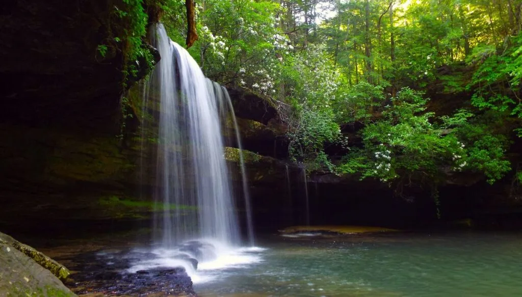 View of a waterfall spilling down into a pool inside of Bankhead National Forest and Sipsey Wildernerness. 