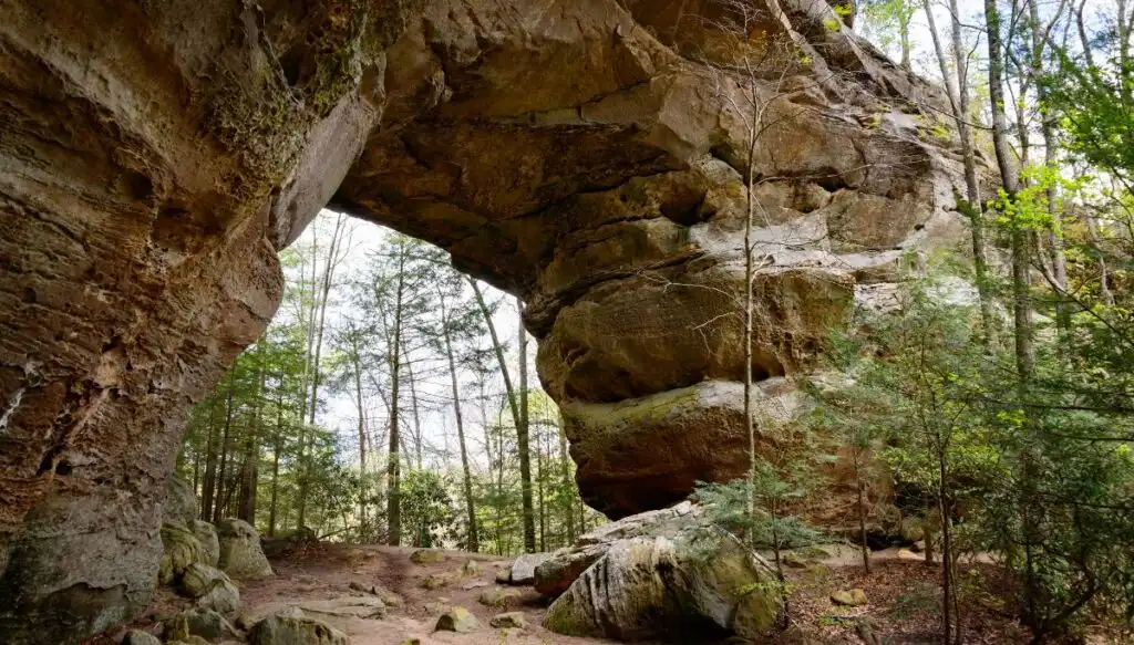 View from beneath a giant stone arch in Big South Fork. The arch is surrounded by trees and is one of the most beautiful places in Tennessee. 