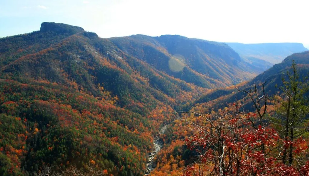 View of vibrant foliage all along the Blue Ridge Mountains of Georgia. You can see the vibrant foliage in the valley. 