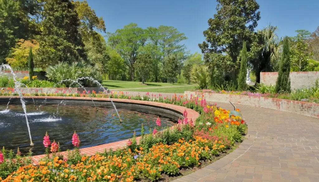 View of a central fountain surrounded by a ring of yellow flowers with a walkway around it and some trees in the background. 