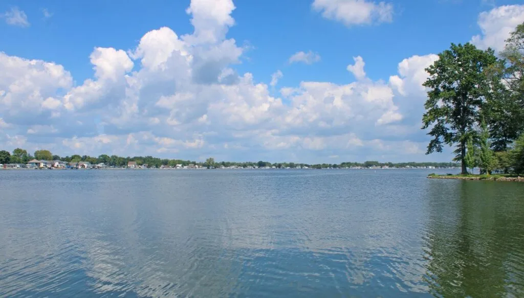 View of Buckeye Lake with a green tree on the right and houses along the shore in the distance. 