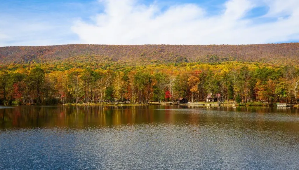 View of vibrant fall foliage sitting along the edge of a lake in Cacapon State Park. You can also see a small brown house nestled along the edge of the water. 