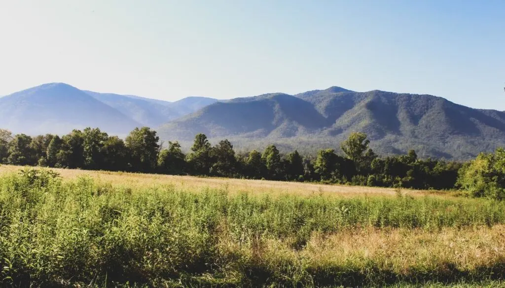 View of vast fields surrounded by tall green trees and green mountains in the background on a sunny day in Cades Cove. 