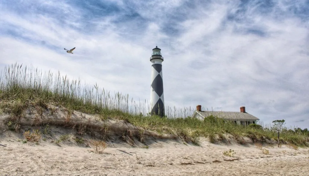 View of a black and white lighthouse in the background with a bird flying by and tall grass by the beach in Cape Hateras.