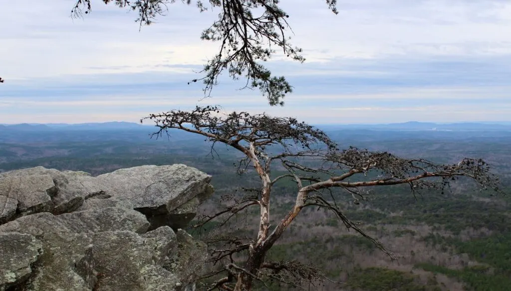 View of Cheaha State Park from Pulpit Rock. 