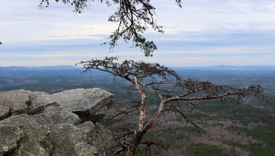 17 Most Beautiful Places in Alabama + Amazing 2025 Tips