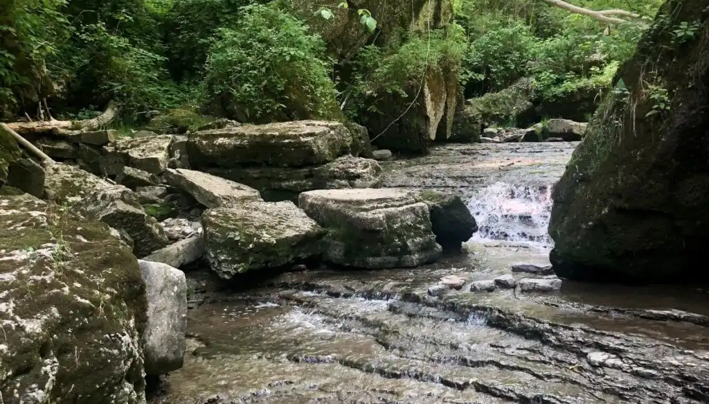 View of a small waterfall going past large rocks covered in moss on the left with leafy green trees in the background. 