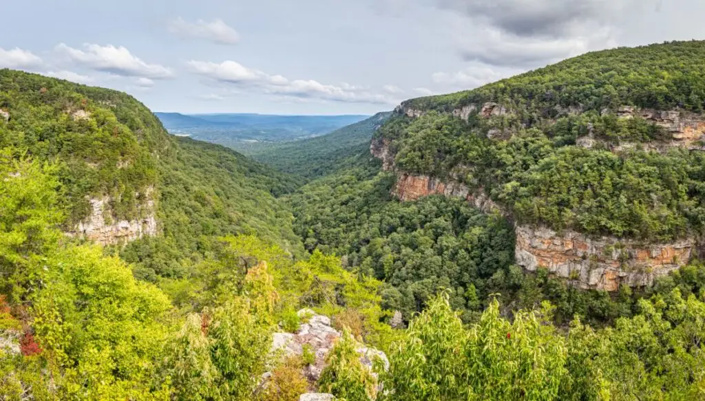 View of a canyon filled with green trees in Cloudland Canyon State Park on a sunny d