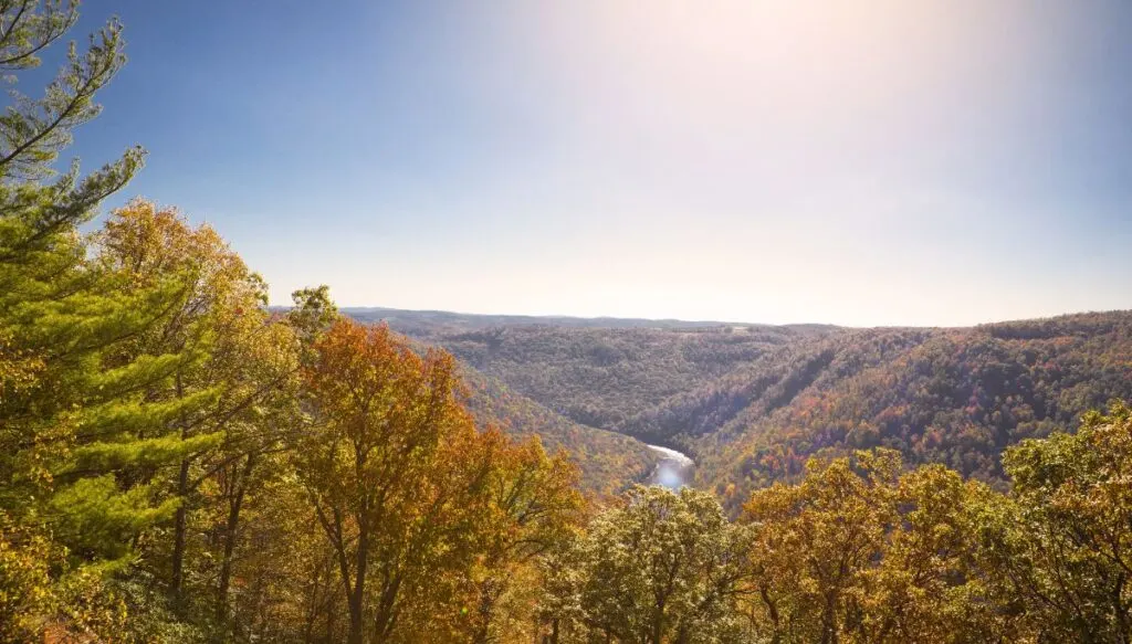 Aerial view of Coopers Rock State Forest. You can see vibrant, golden foliage and a river running through the park in the distance. 