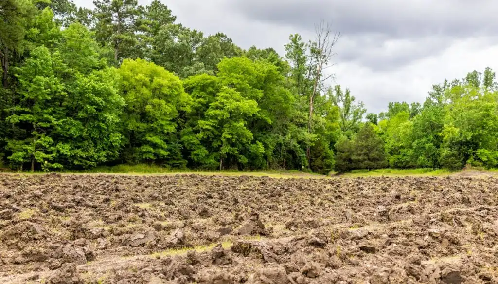 View of brown plowed fields that are surrounded by green trees inside of Crater of Diamonds State Park. 