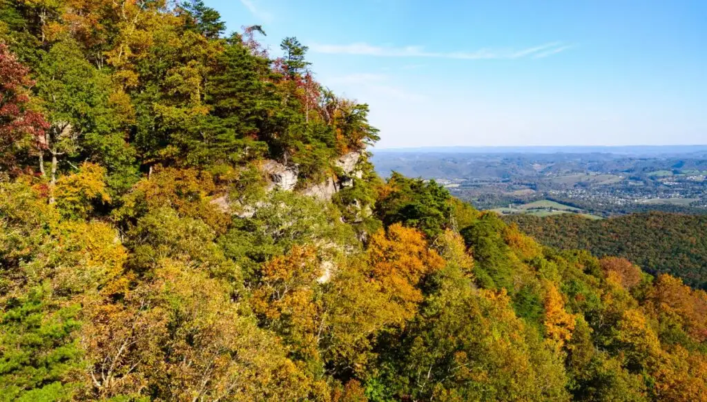 View of trees with gold and orange hues with a scenic view off in the distance inside of Cumberland Gap National Historic Park. 