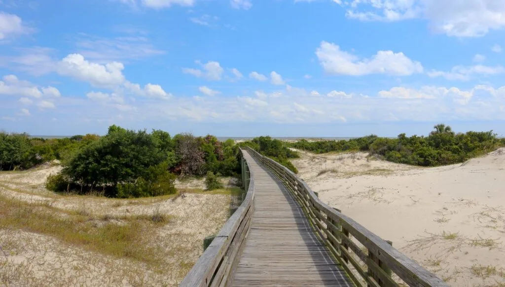 View of the boardwalk on Cumberland Island with sand dunes on the right and green bushes on the left on a clear and sunny day. 