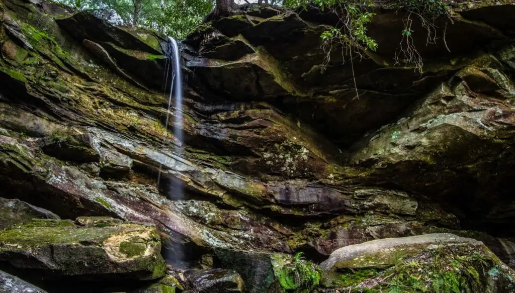 View of a small water fall dripping down over the edge of moss covered rocks in Daniel Boone National Forest. 