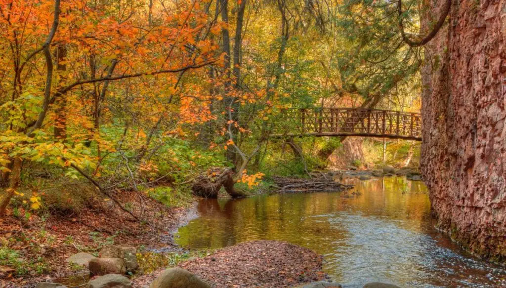 View of a wooden bridge going over a stream that is surrounded by beautiful fall foliage in Duluth. 
