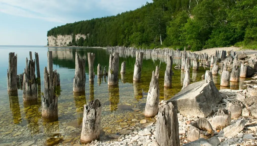View of old wooden pilans sticking out of the water along the rocky shore of a lake. You can see the land in the back dotted with lots of green pine trees. 