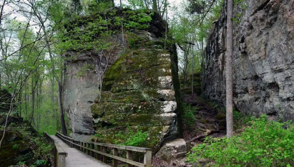 View of a walking path going by some larg boulders urrounded by trees inside of Giant City State Park. 