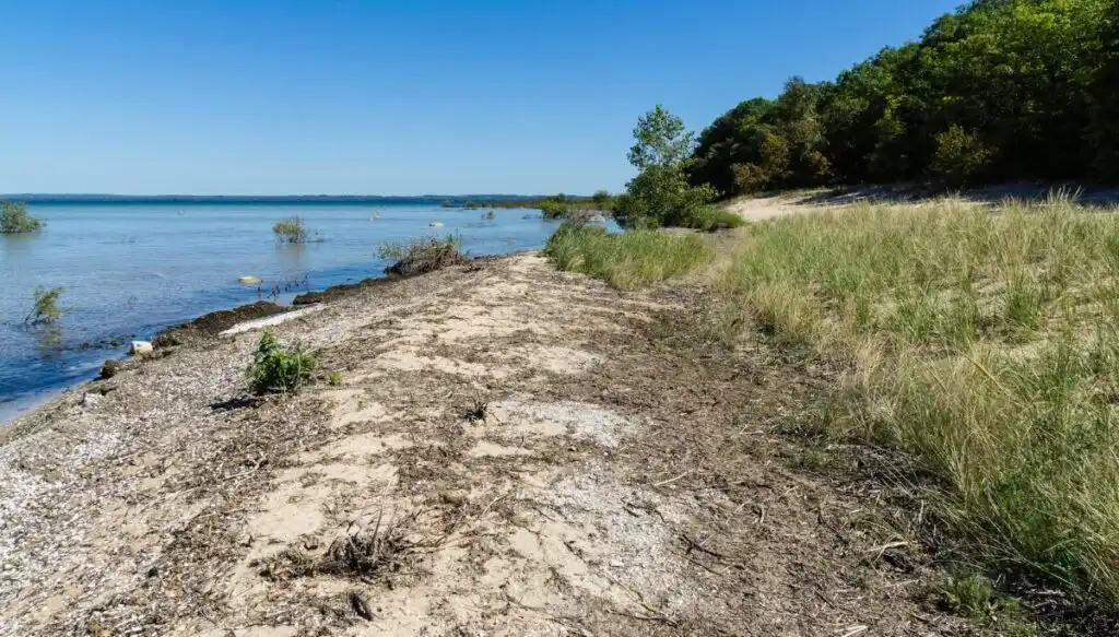 View of the sandy shores of Old Traverse Bay. You can see grass growing near the sand and leafy green trees in the background on a sunny day. 