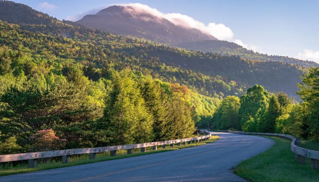 View of pine forests along a paves road with Grandfather Mountain in the distance. This is one of the most beautiful places in North Carolina. 