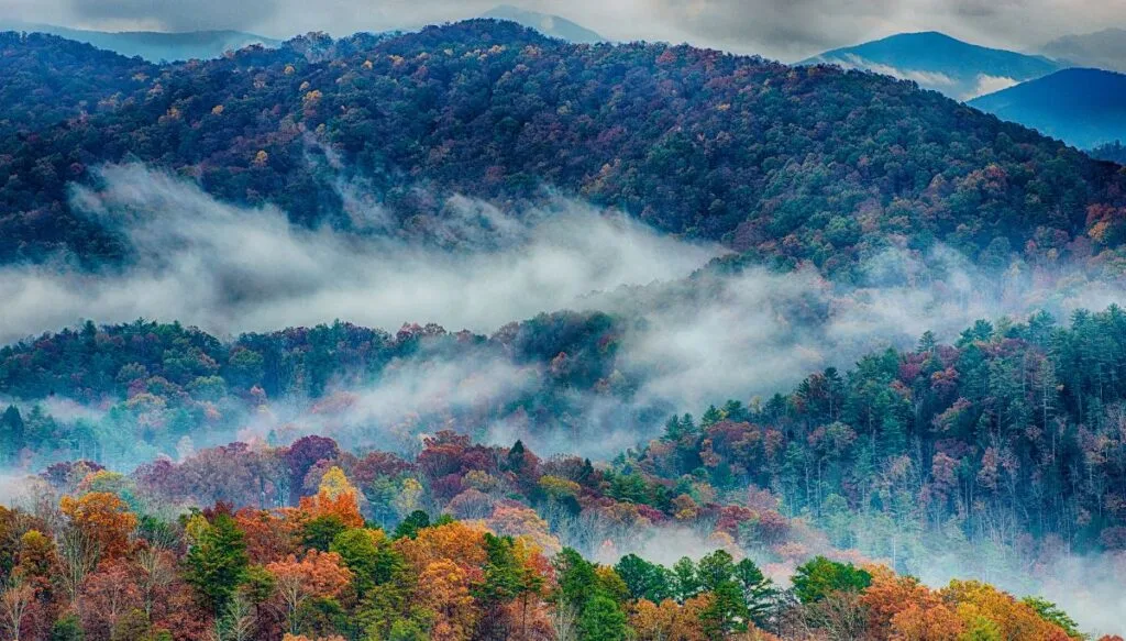 View of vibrant fall foliage in Great Smoky Mountains National Park. You can see vibrant fall foliage shrouded in mist throughout the park. 