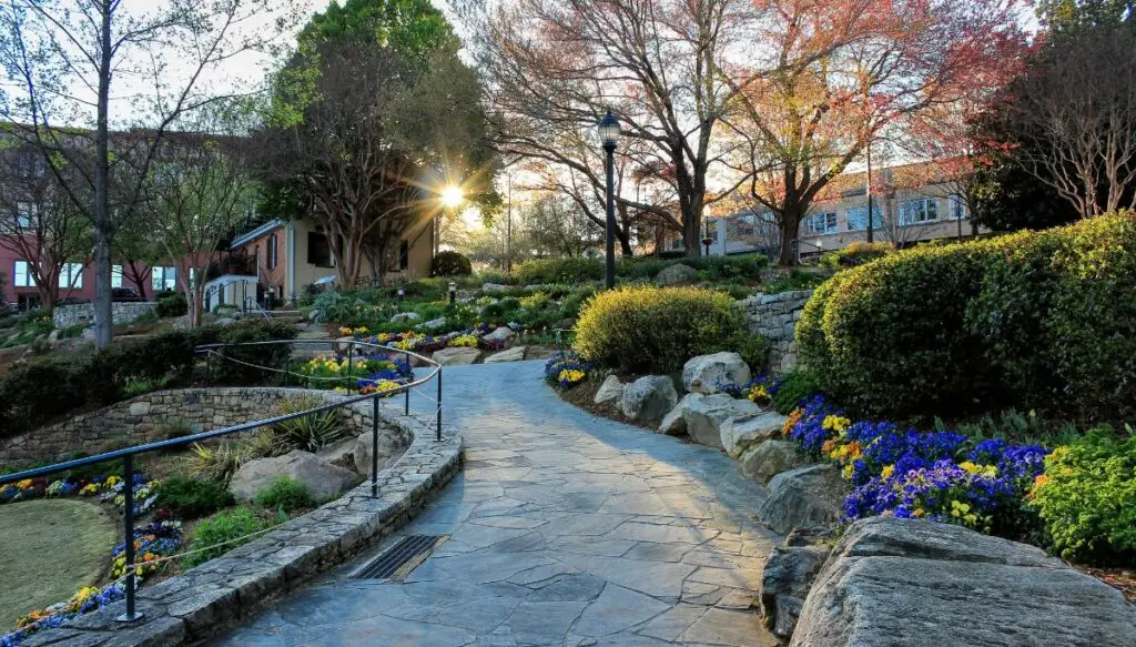 View of the sun peaking through trees  in Greenville. You can see a park in the foreground with a walking path lined with flowers. 