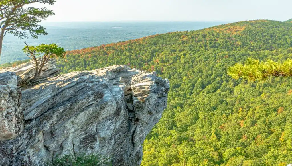 View of a rock in the foreground with trees growing on it and vast areas full of green forests stretching into the distance. 