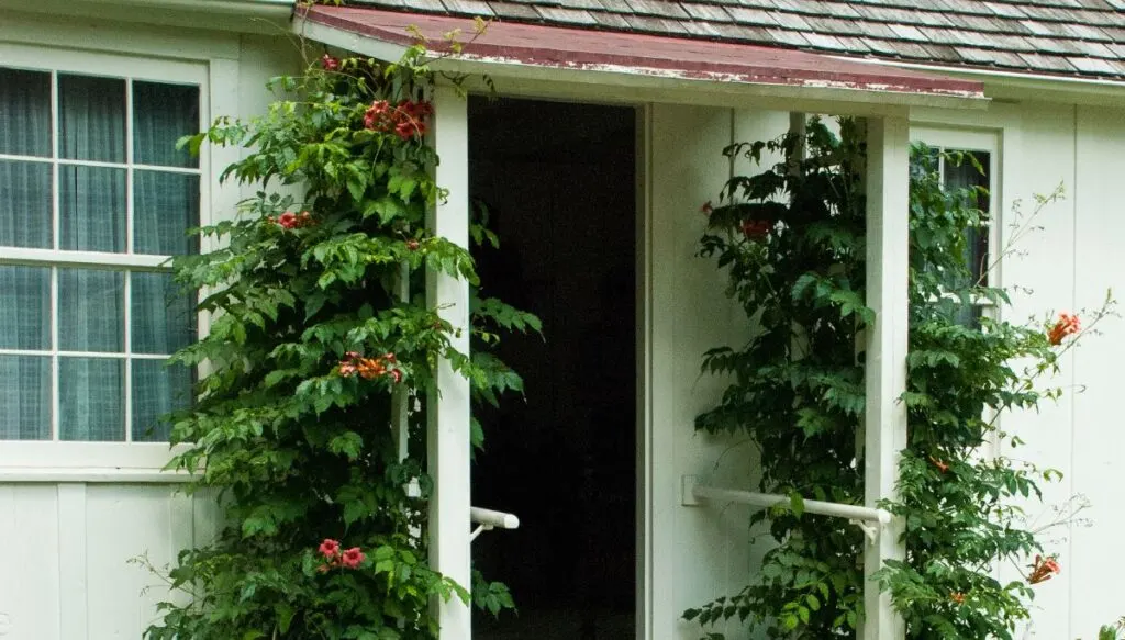 View of the white exterior of the Herbert Hoover National Historic Site. You can see a small white entrance covered by an awning wil plants growing on either side of the door. 