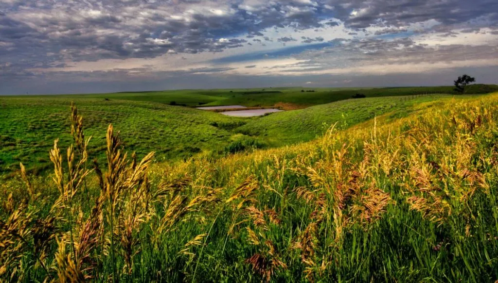 View of the rolling hills of Gypsum Hills in Kansas. 