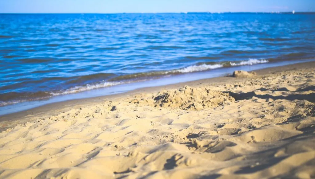 View of a white sand beach along the shores of Horn Island with blue water in the background. 