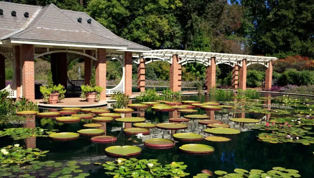 View of a outdoor pavilion with a roof and brick pillars. In the front you can see a pond with water lilies in Huntsville Botanical Garden.