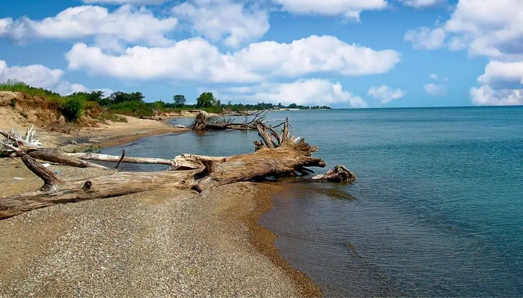 View of fallen trees along the rocky shore of Illinois Beach State Park eith its bright blue water. 