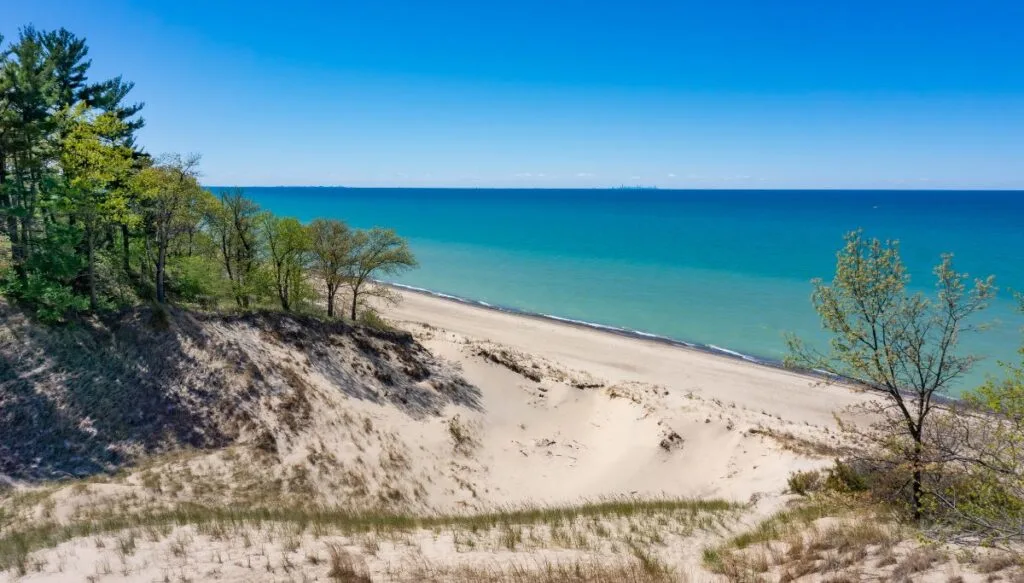View of a sandy beach with bright blue water in the background. The beach is also surrounded by trees with green leaves on a sunny day. 