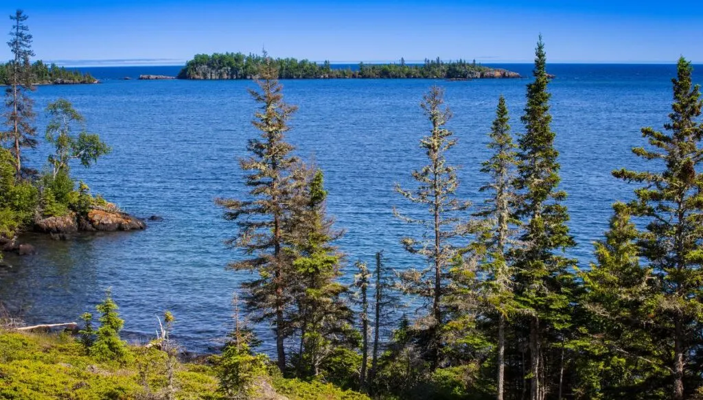 View of tall pine trees in the foreground and islands covered in pines in the background that are surrounded by water in Isle Royale National Park. 