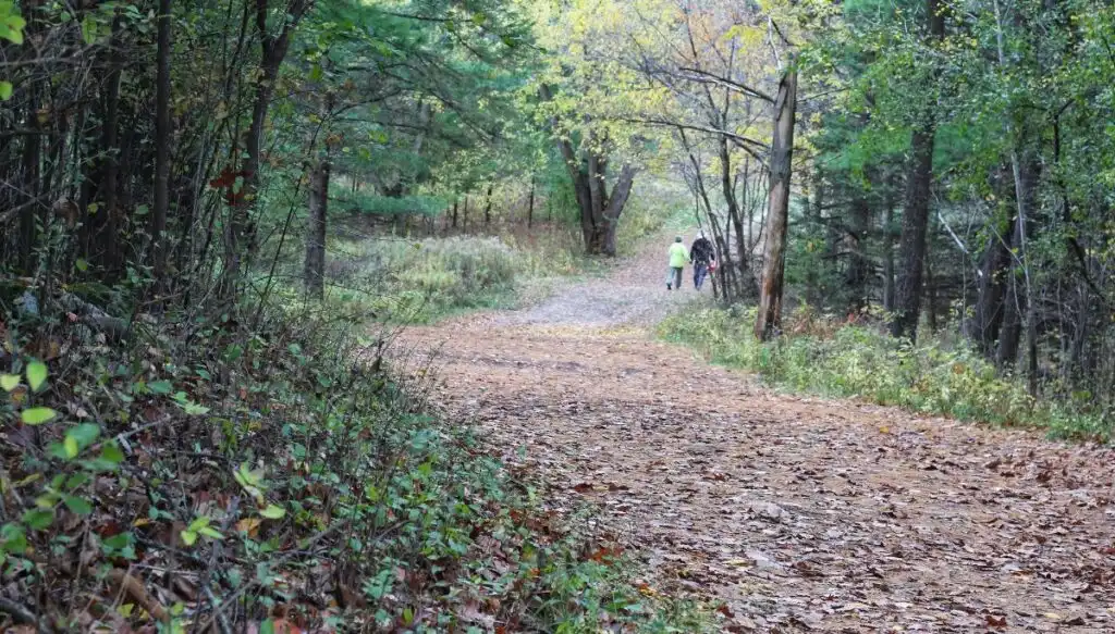 View of two people walking along a trail surrounded by trees in Kettle Moraine State Forest which is one of the most beautiful places in Wisconsin. 