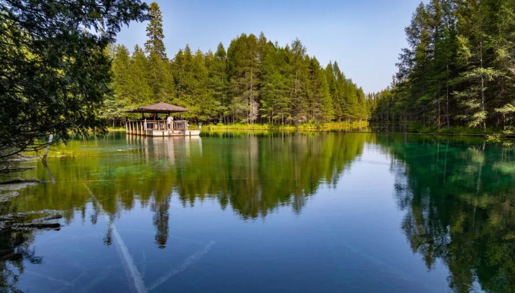 View of a large woden raft moving through the clear blue water of Kitch-iti-kipi. You can see people on the raft and the water is surrounded by towering pine trees. 