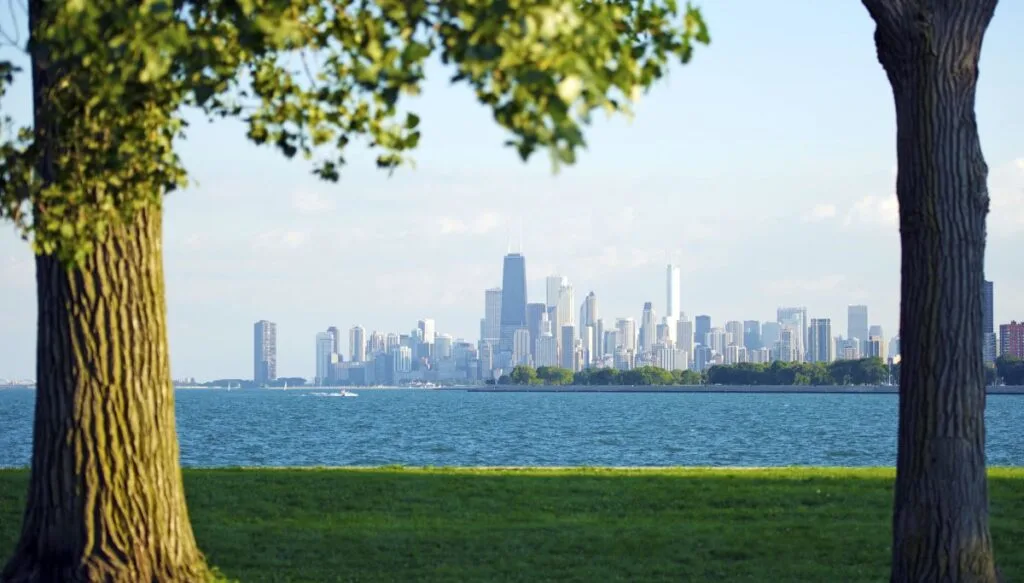 View of the city of Chicago through two trees with Lake Michigan in front of the city on a sunny day. 