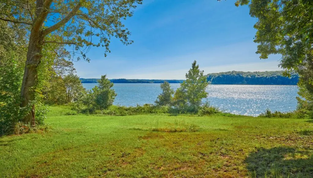 View of a grassy area along the edge of a lake with tons of tall, leafy green trees inside the Land Between the Lakes Recreation Area. 