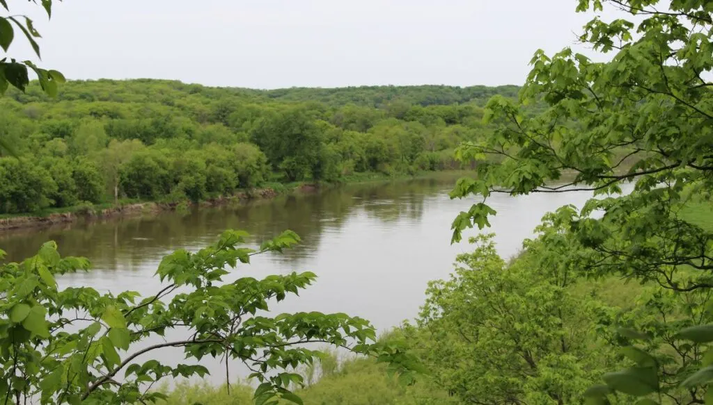 View of a river surrounded by lush green trees inside of Ledges State Park. 