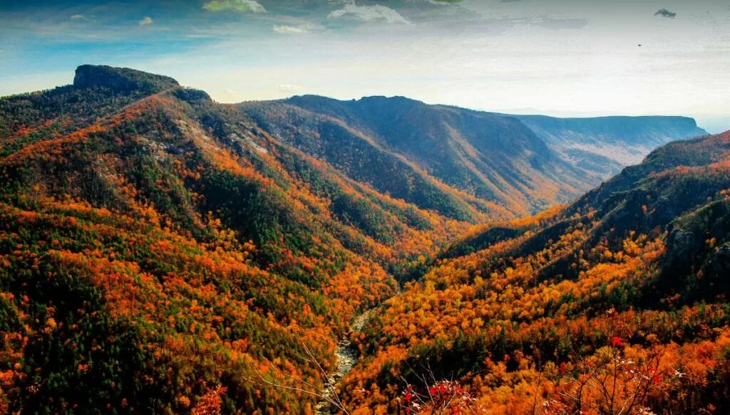 Panoramic View of Linville Gorge with vibrant orange foliage on a sunny day. 