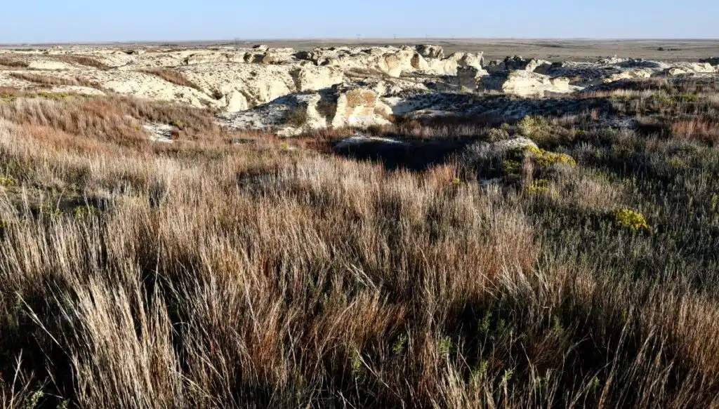 View of tallgrass in the foreground  and white rock formations stretching out in the background. 